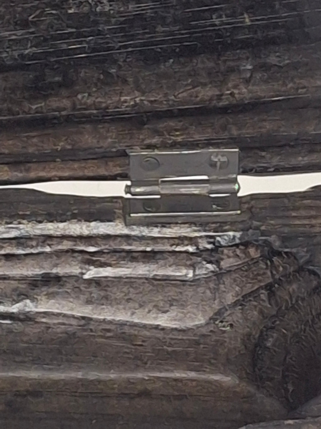 Antique 19th Century European Wooden Document Box with Engraved Leather Panels Depicting Daily Life Scenes - Folk Art Storage Chest