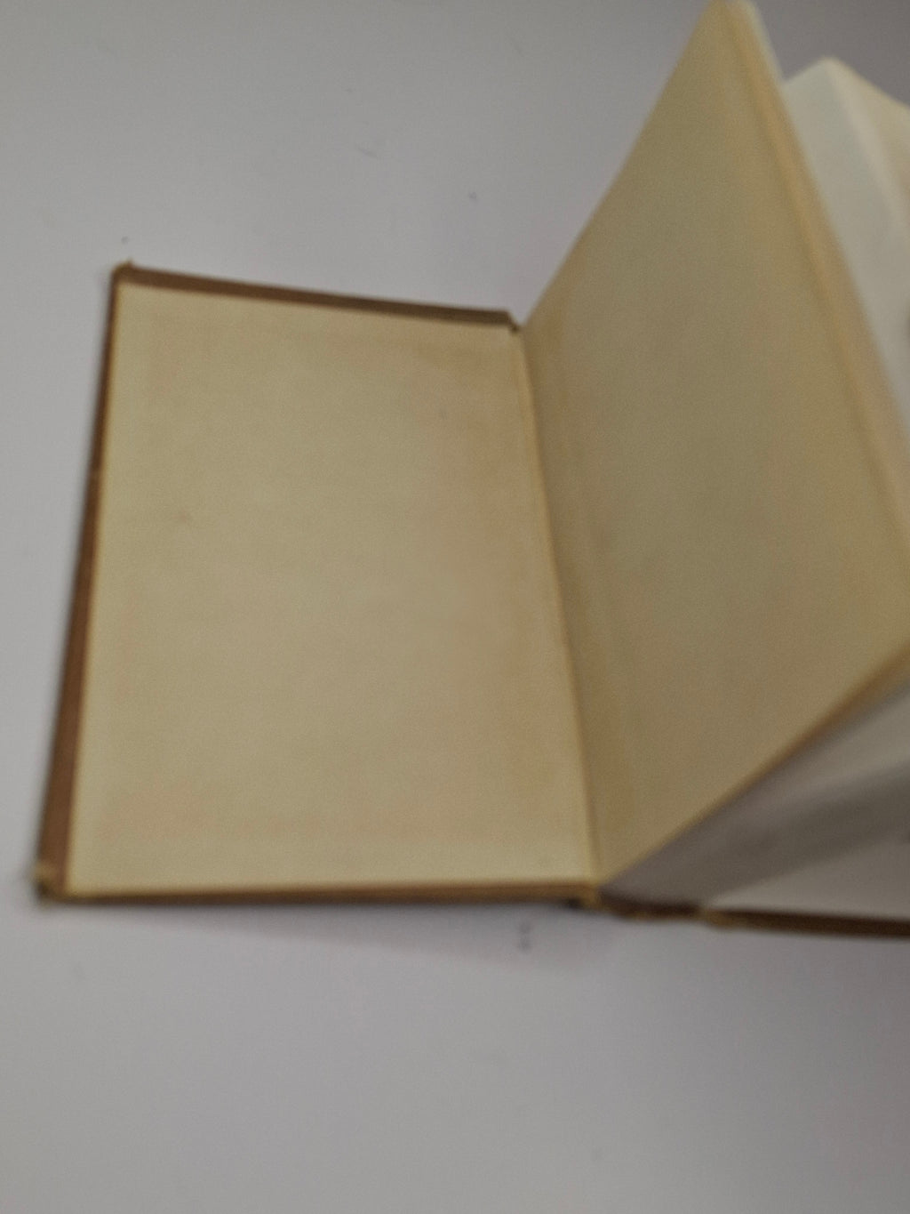 Vintage 1920s-1930s Siddur Sefat Emet Hebrew-English Prayer Book - Hebrew Publishing Co. New York - Compact Ashkenazic Rite, Good Condition