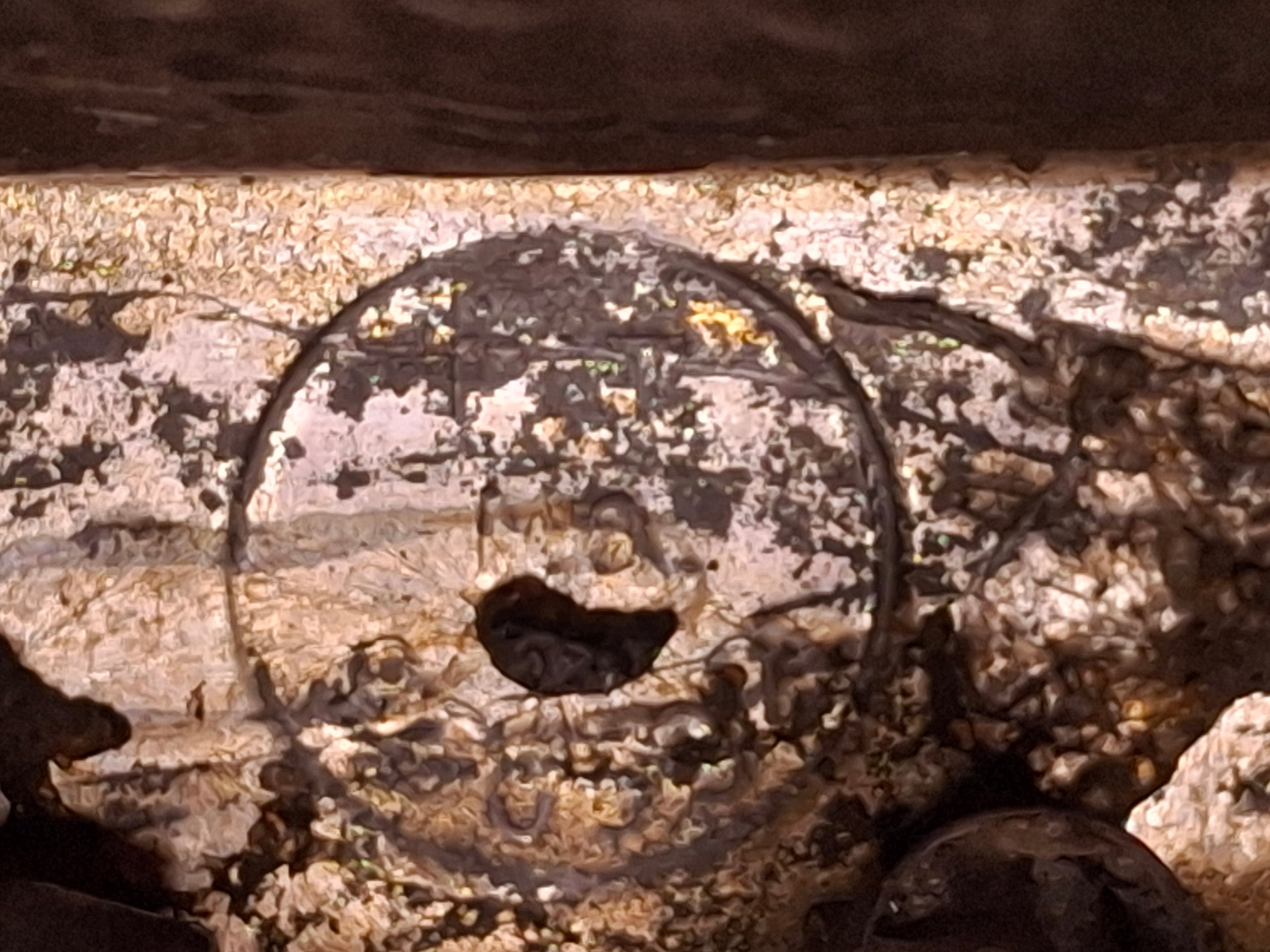 Extremely Rare Important Antique 1909 Patented Brass-Plated Tin Hanukkah Menorah Chanukiah - US Patent 930,592 by Tobias Cohn - Smithsonian-Matched Judaica