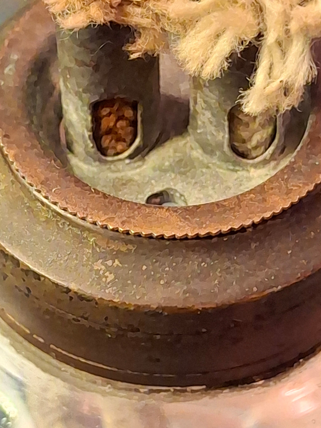 Antique 19th C. Flint Glass Whale Oil Lamp - Goblet Style - Double Tube Burner 7"