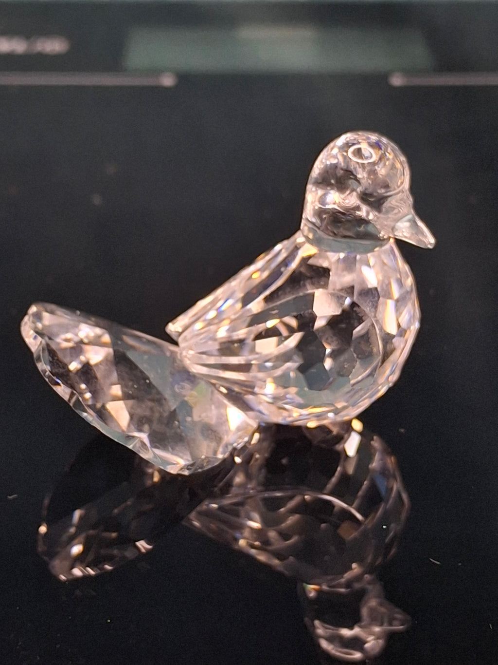 Swarovski Crystal Fan Tail Dove Figurine - Retired Feathered Friends - Pink Eyes