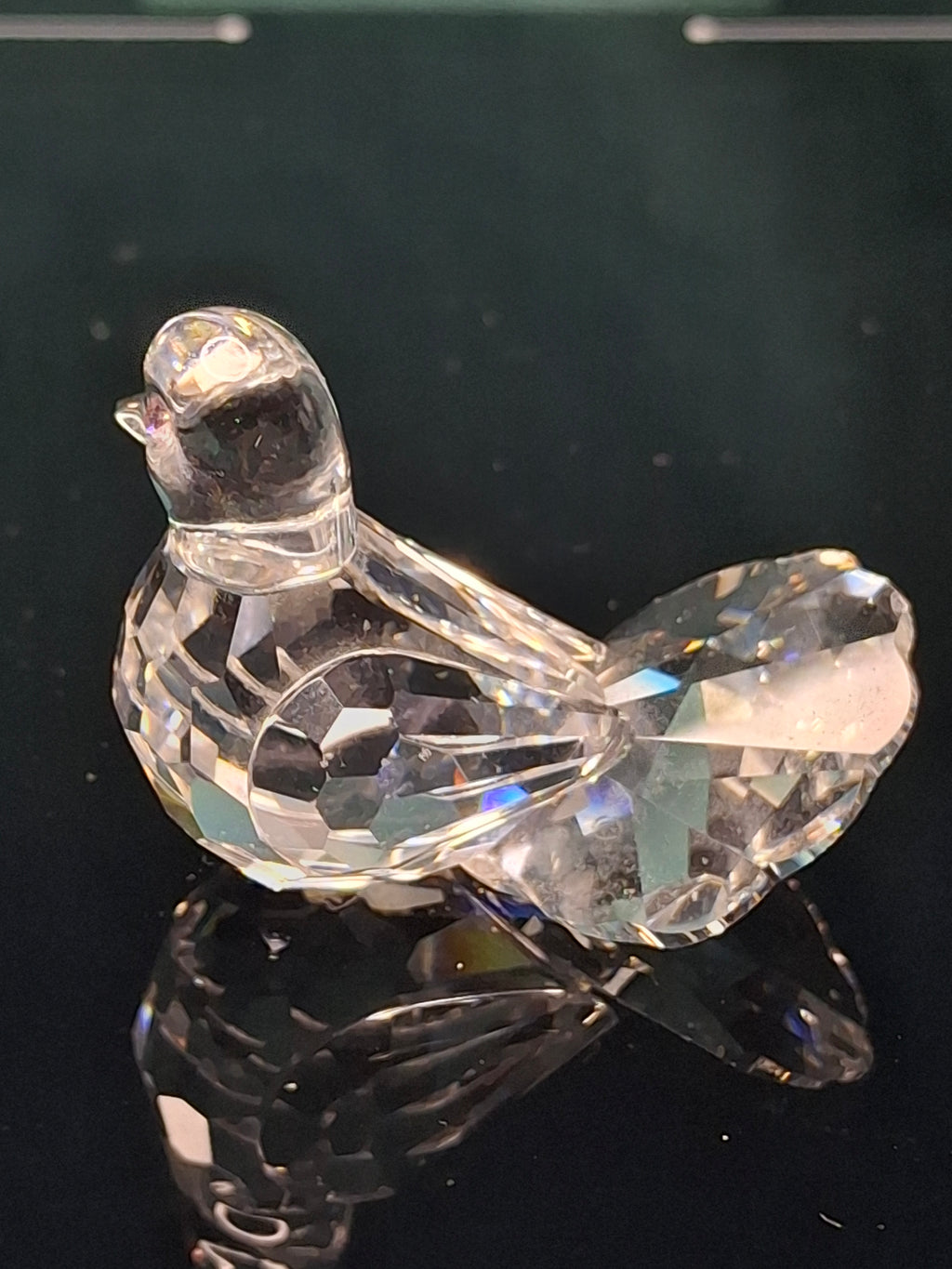 Swarovski Crystal Fan Tail Dove Figurine - Retired Feathered Friends - Pink Eyes