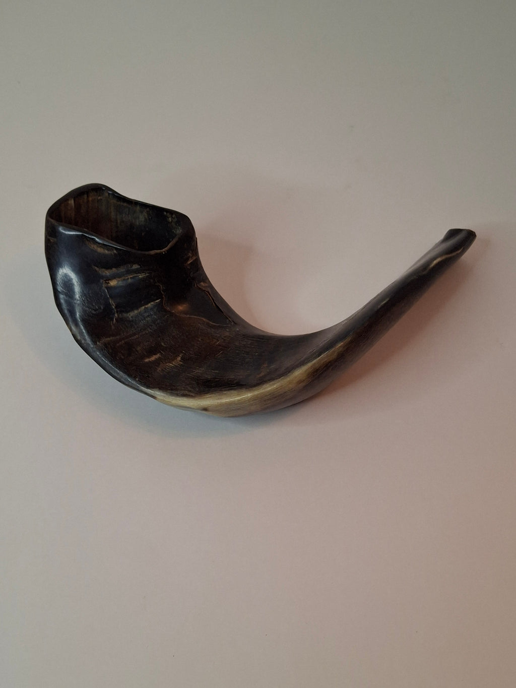 Vintage 8" Polished Ram’s Horn Shofar - Authentic Kosher Ashkenazi Judaica Israel