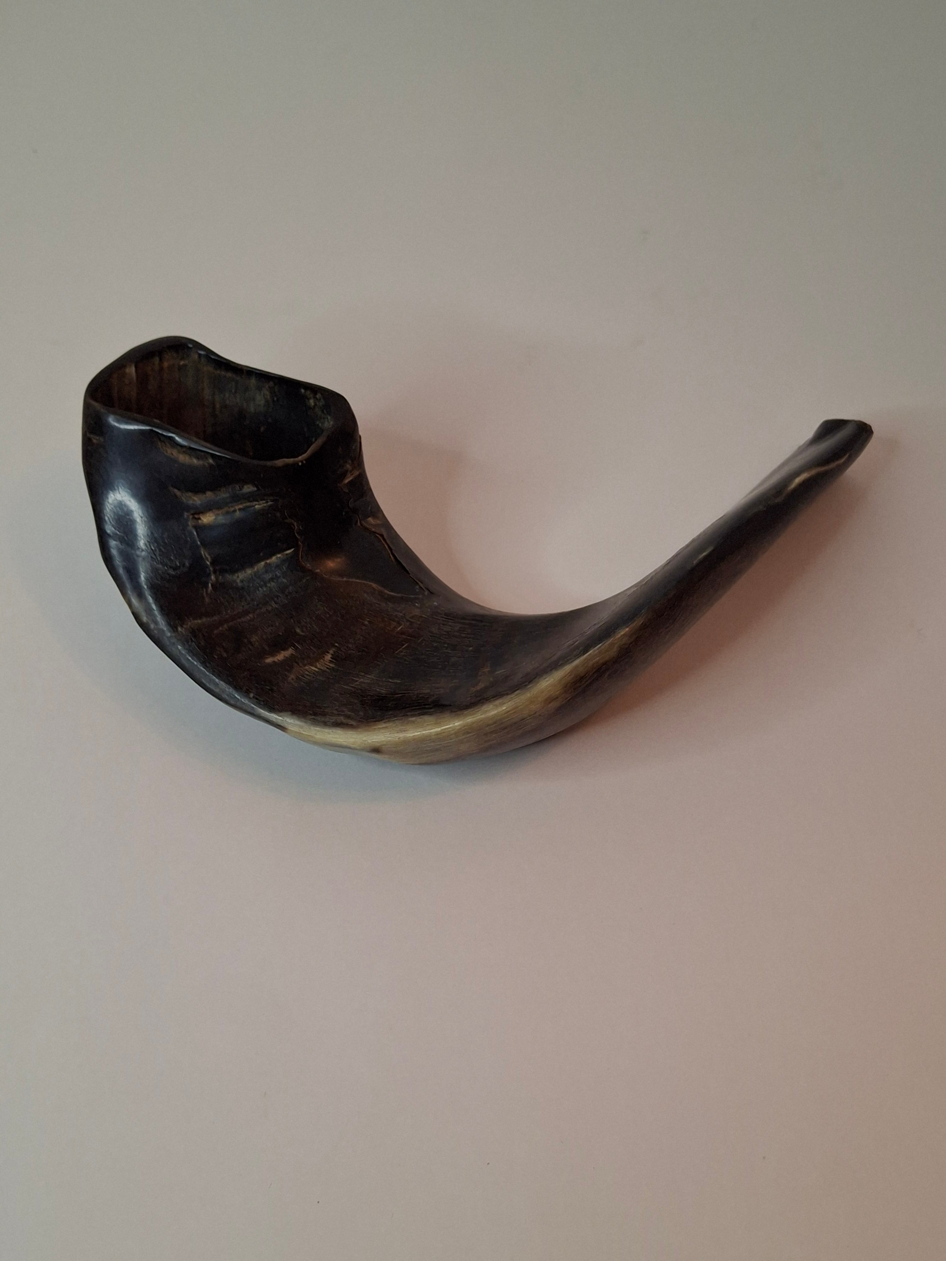 Vintage 8" Polished Ram’s Horn Shofar - Authentic Kosher Ashkenazi Judaica Israel