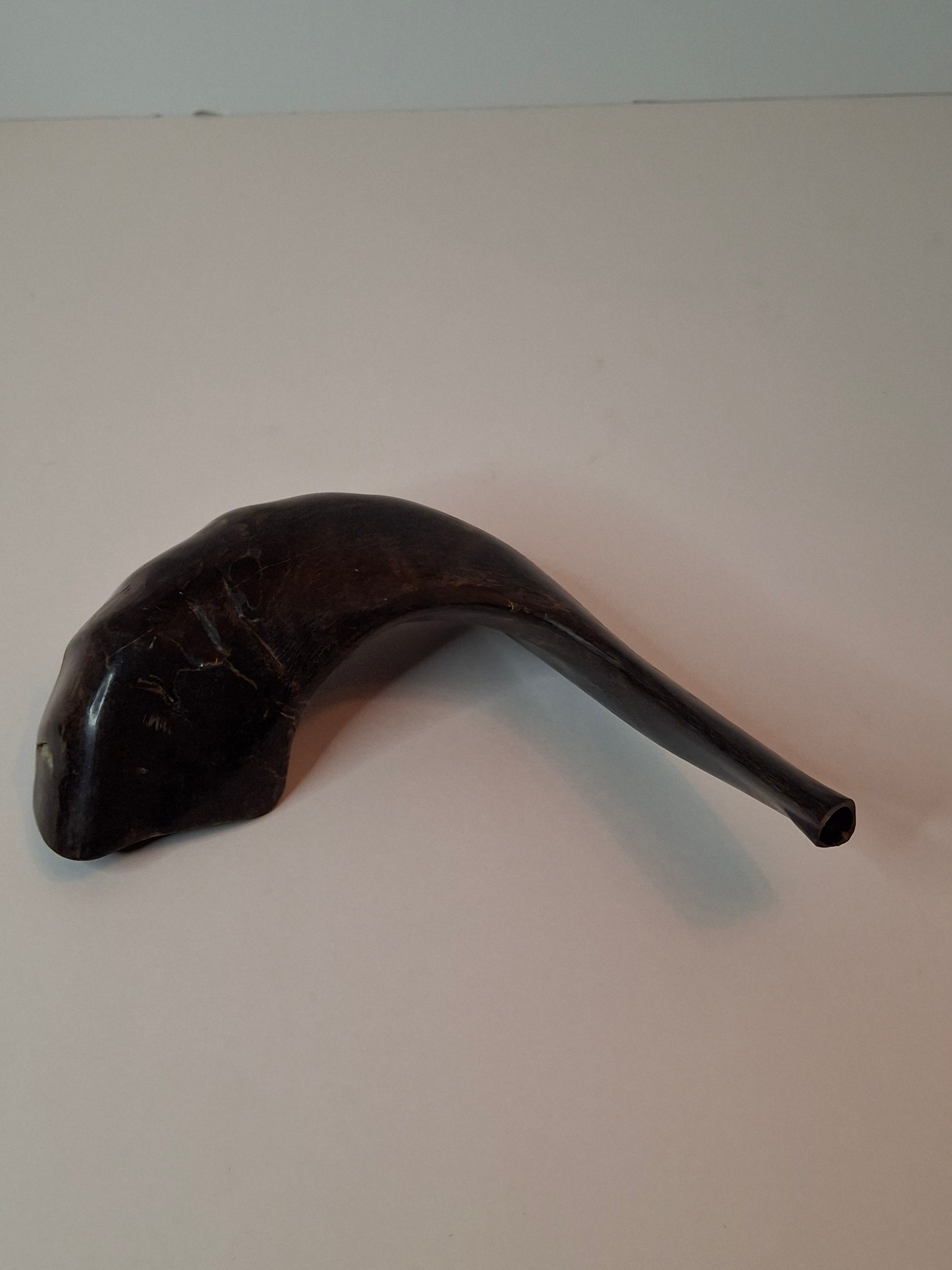 Vintage 8" Polished Ram’s Horn Shofar - Authentic Kosher Ashkenazi Judaica Israel