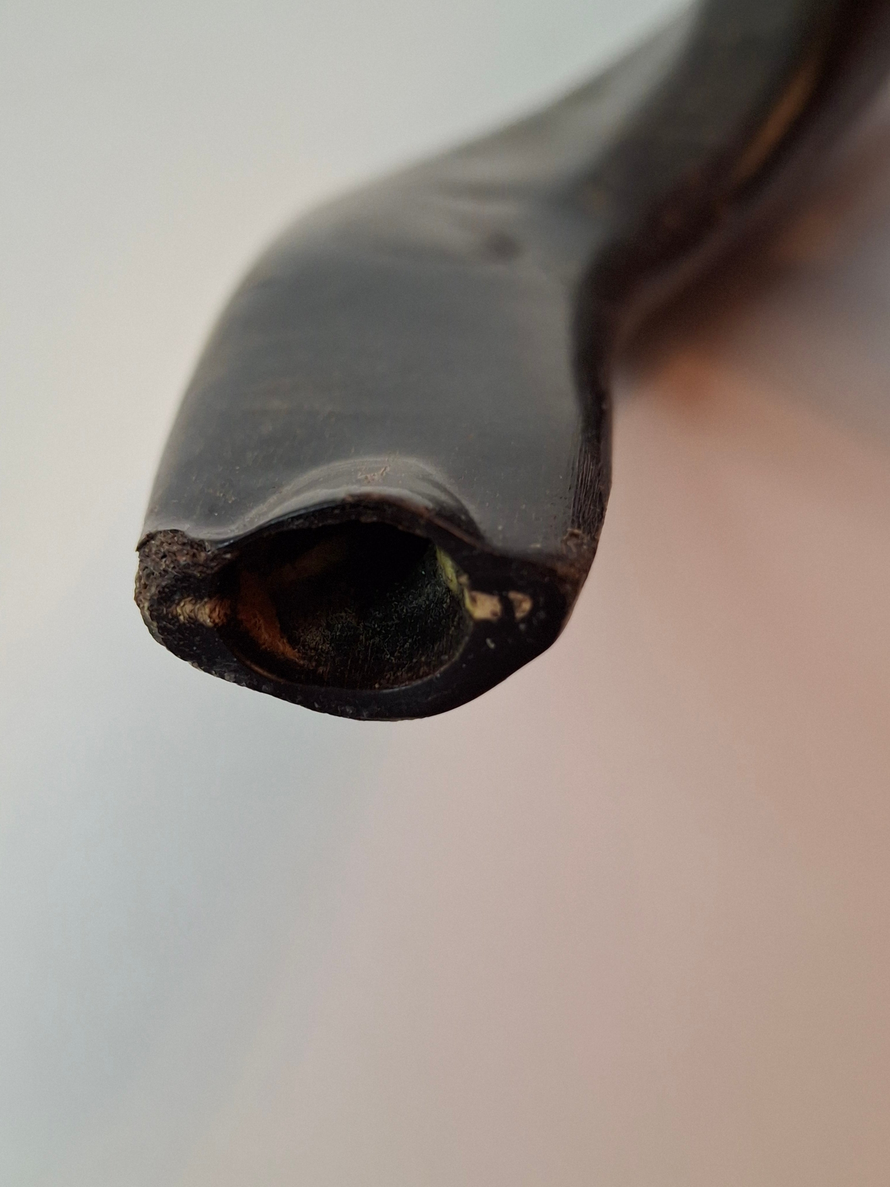 Vintage 8" Polished Ram’s Horn Shofar - Authentic Kosher Ashkenazi Judaica Israel