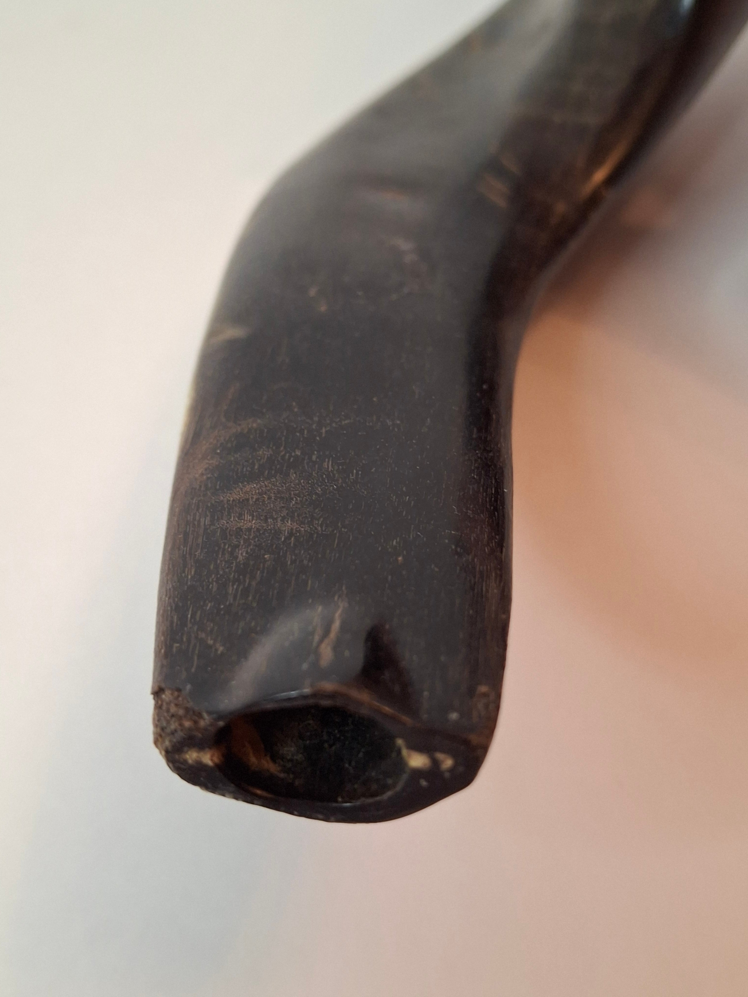 Vintage 8" Polished Ram’s Horn Shofar - Authentic Kosher Ashkenazi Judaica Israel