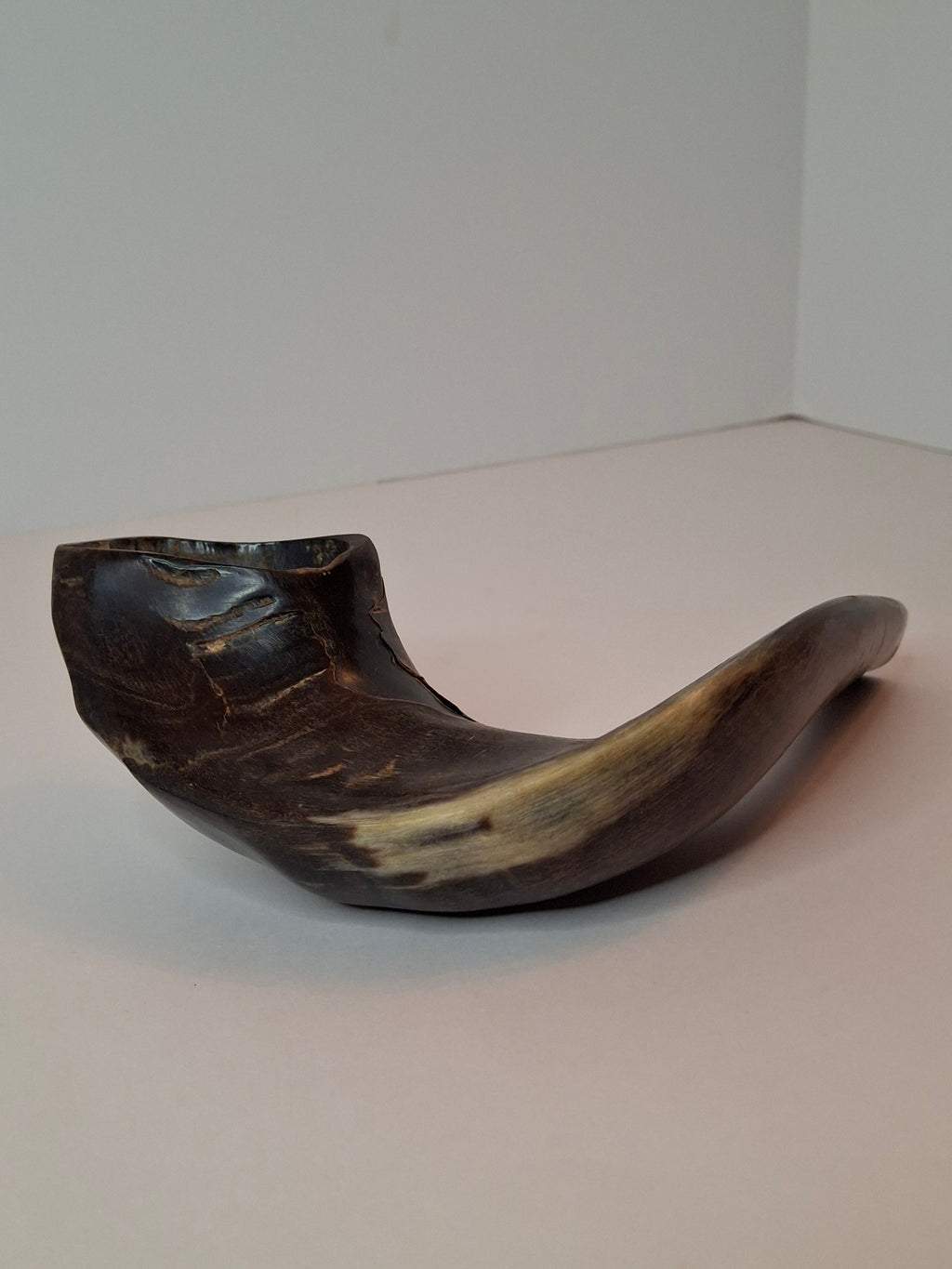 Vintage 8" Polished Ram’s Horn Shofar - Authentic Kosher Ashkenazi Judaica Israel