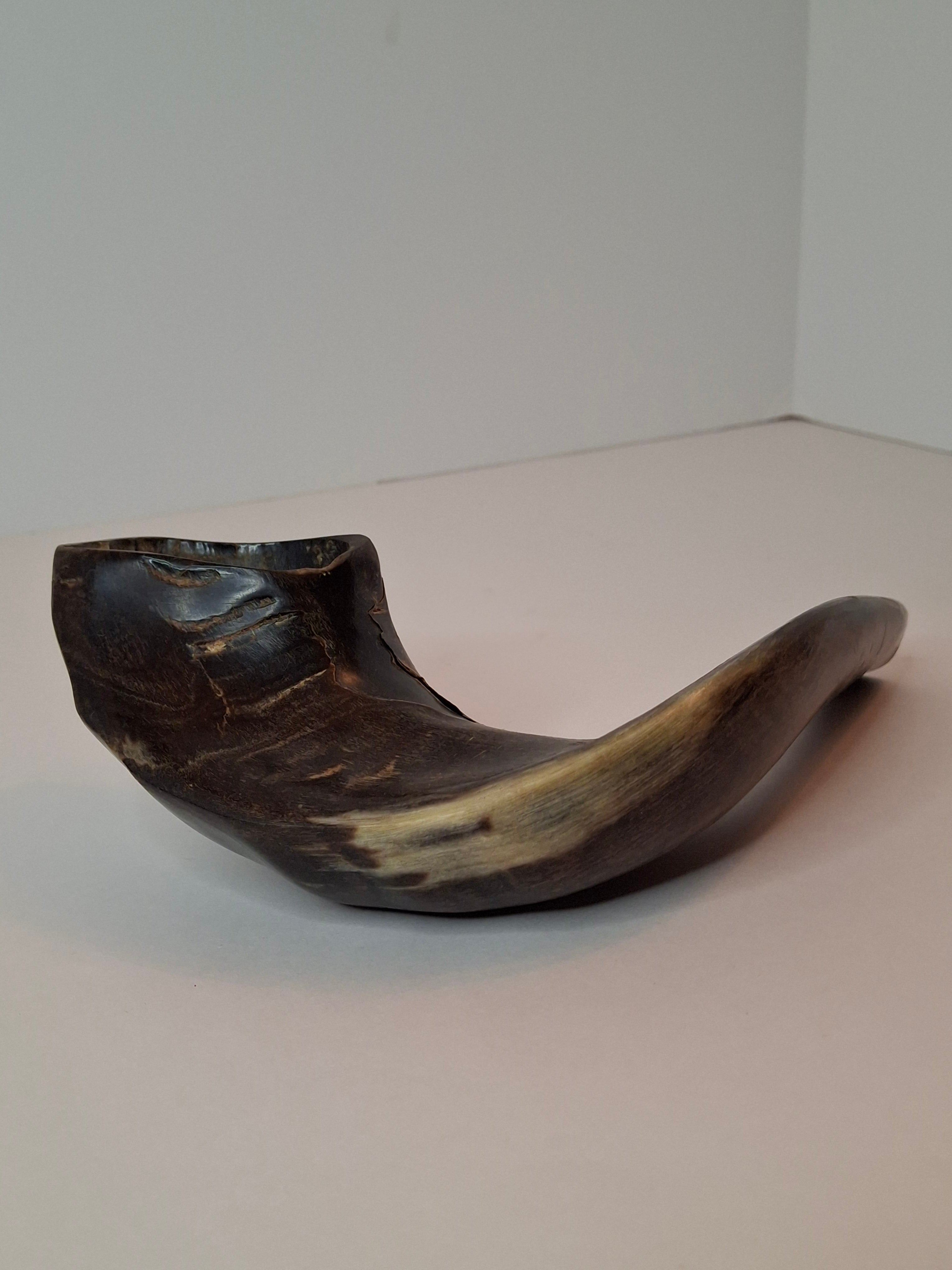 Vintage 8" Polished Ram’s Horn Shofar - Authentic Kosher Ashkenazi Judaica Israel