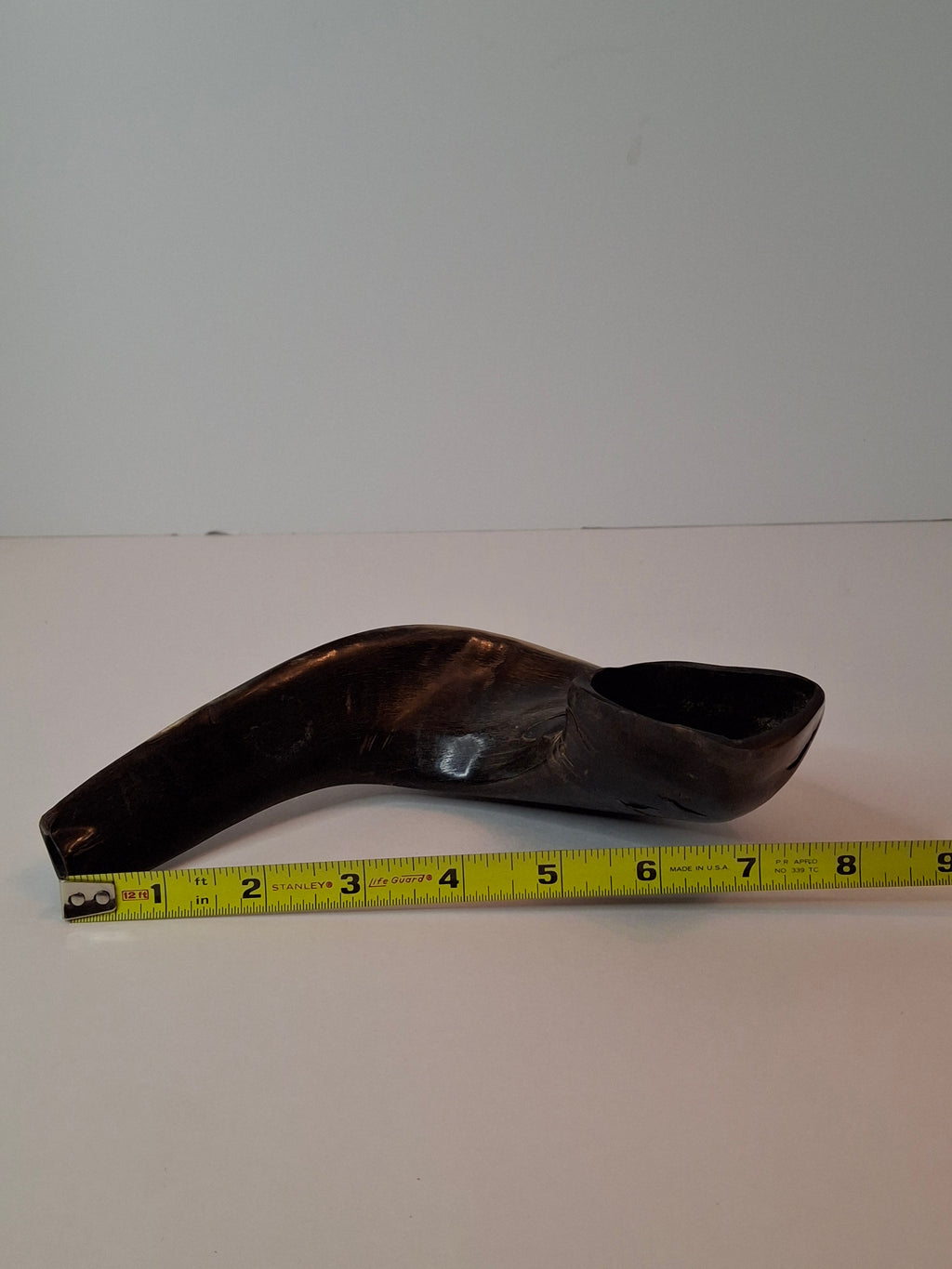 Vintage 8" Polished Ram’s Horn Shofar - Authentic Kosher Ashkenazi Judaica Israel
