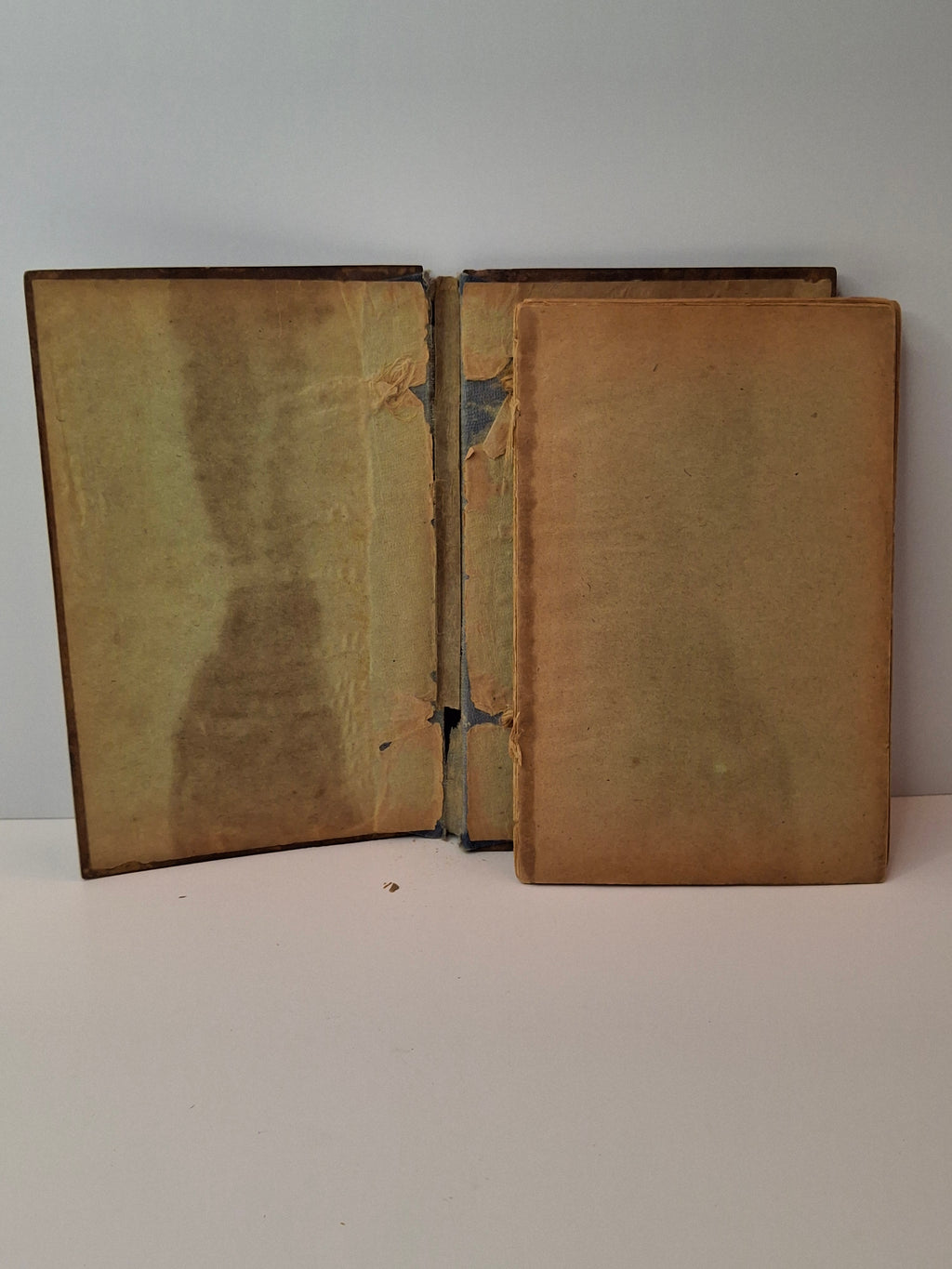 Rare 1897 Olive Wood Passover Haggadah Jerusalem Zuckerman Hebrew English Kirschenbaum