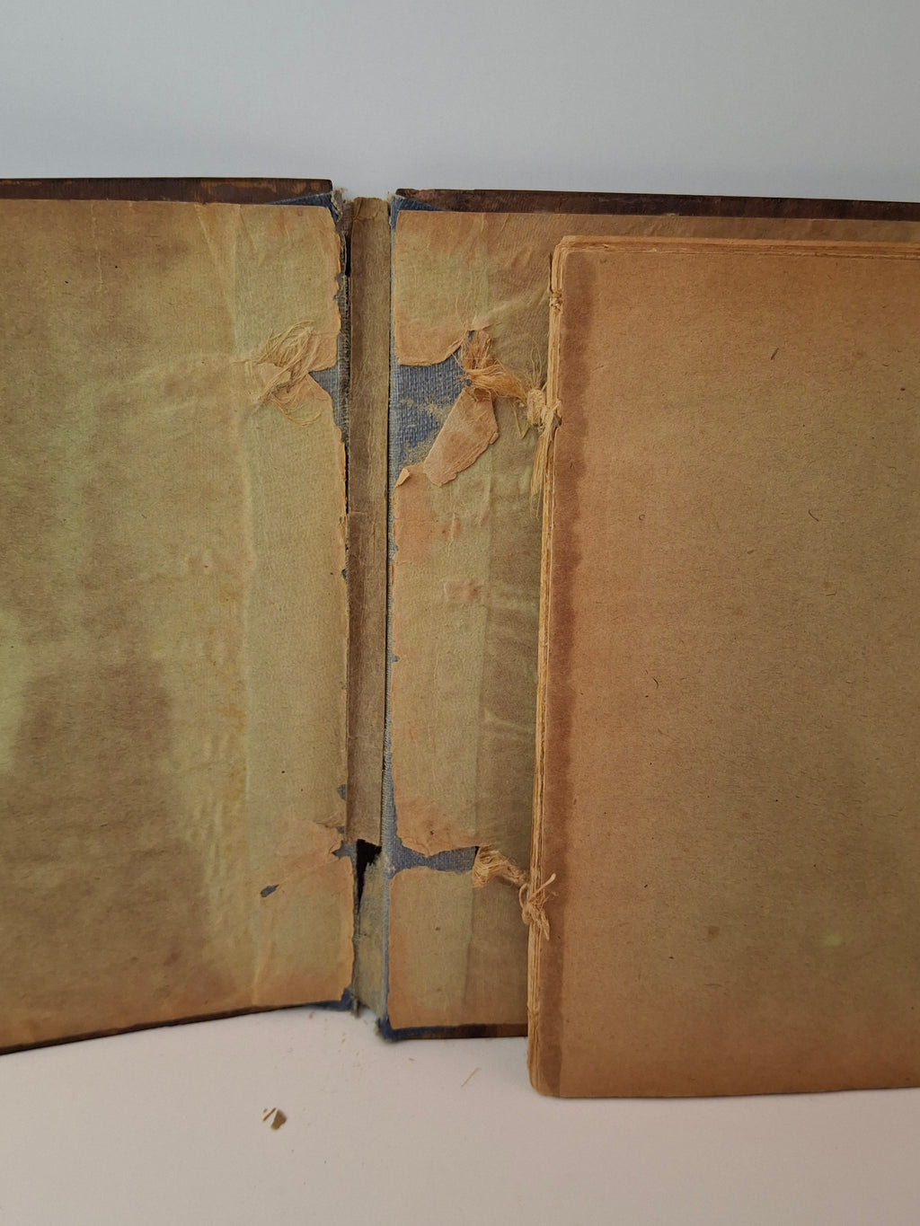 Rare 1897 Olive Wood Passover Haggadah Jerusalem Zuckerman Hebrew English Kirschenbaum