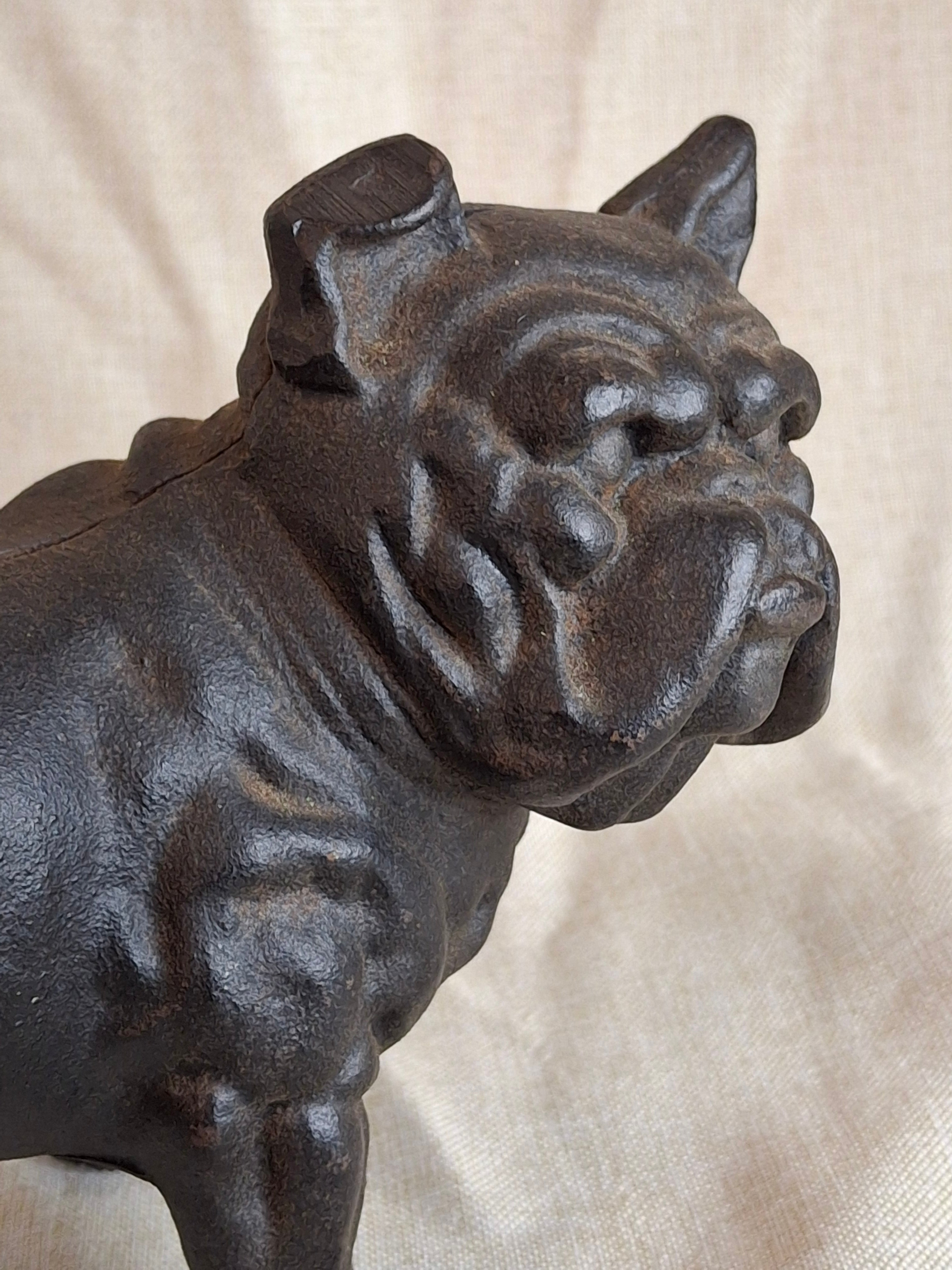 Antique Hubley Cast Iron Standing Bulldog Penny Bank No. 826 c. 1910 - 5.5" Tall