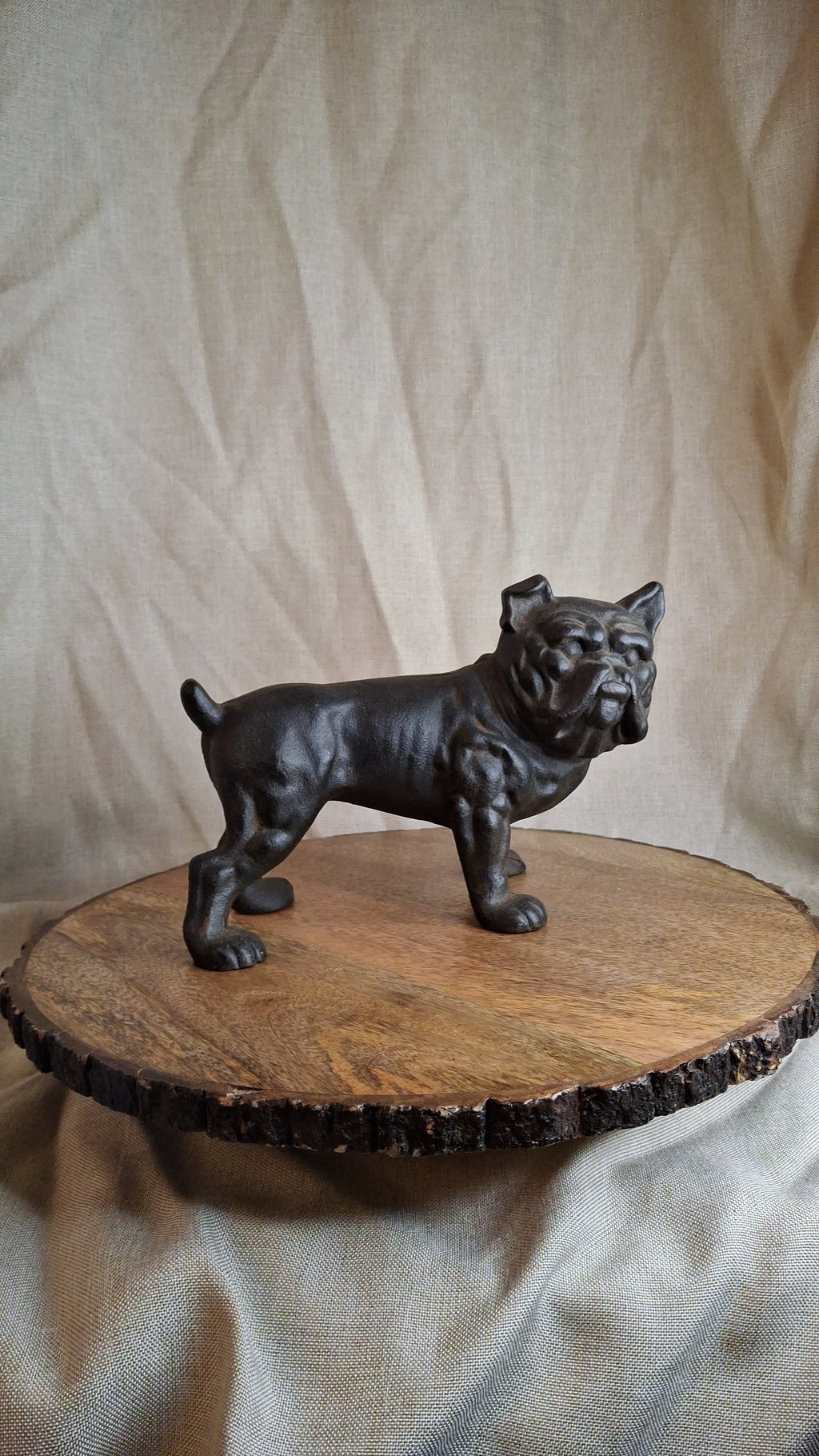 Antique Hubley Cast Iron Standing Bulldog Penny Bank No. 826 c. 1910 - 5.5" Tall