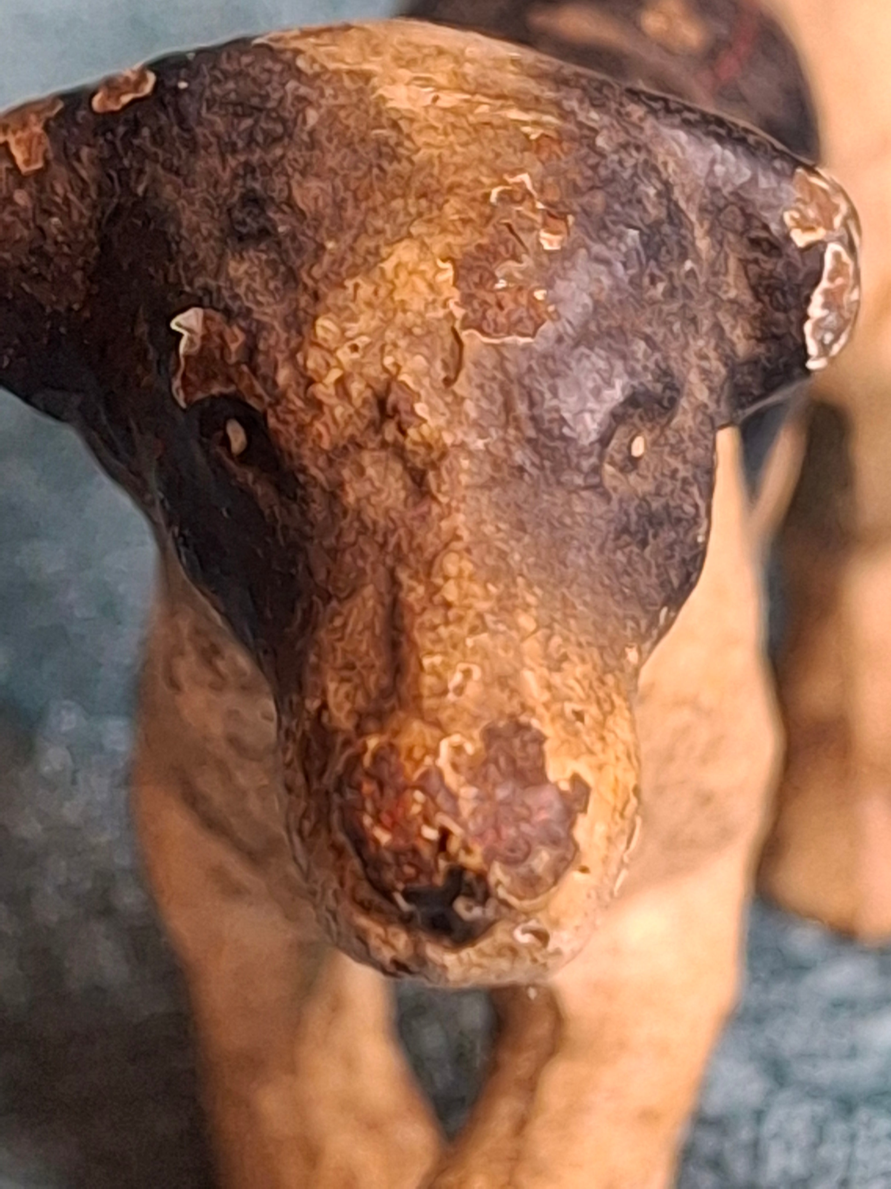 Antique Hubley Cast Iron English Setter Pointer Dog Figurine Original Paint 4”