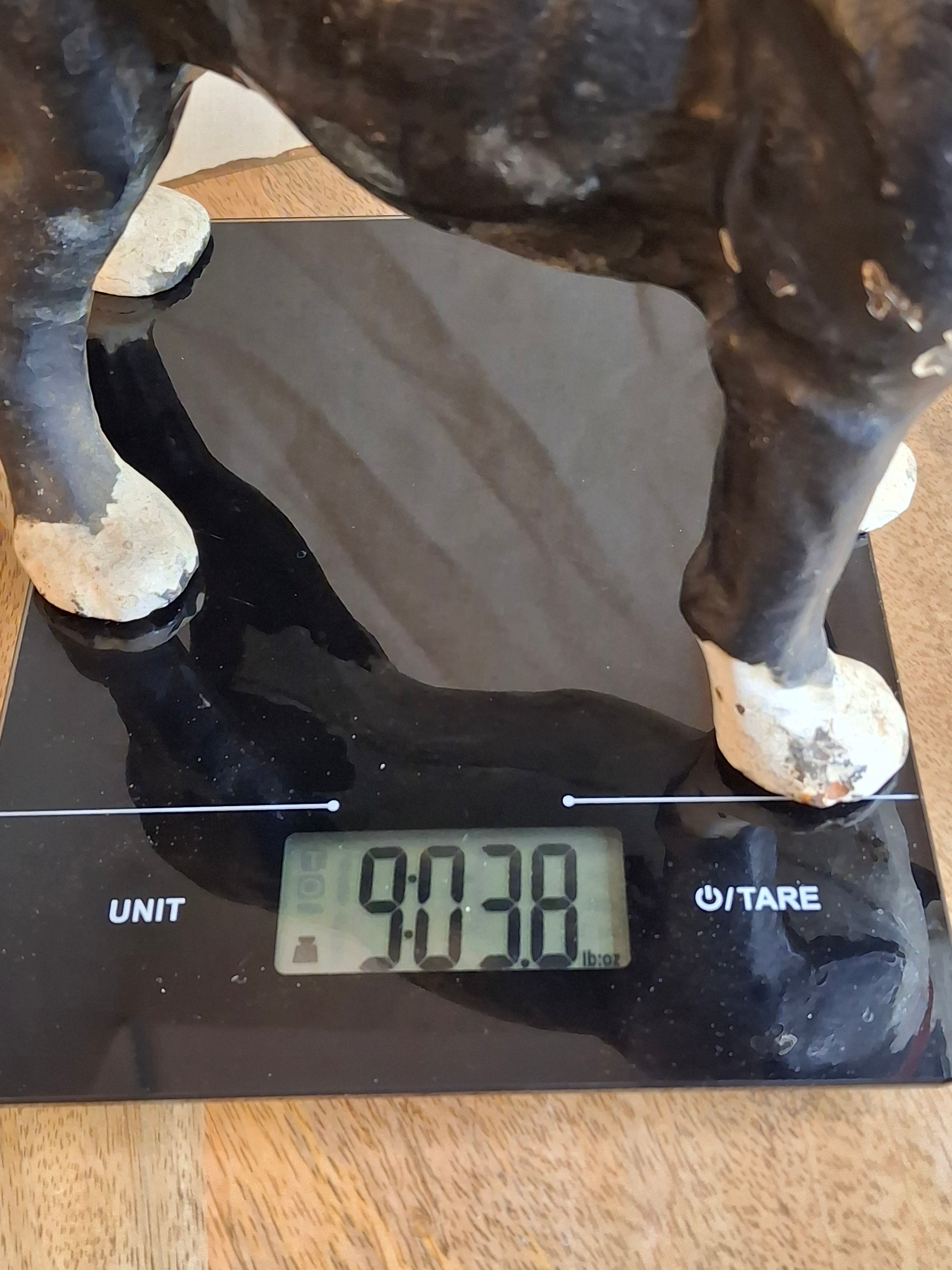 Antique National Foundry Cast Iron Boston Terrier Dog Doorstop Left Facing #149 C. 1920s