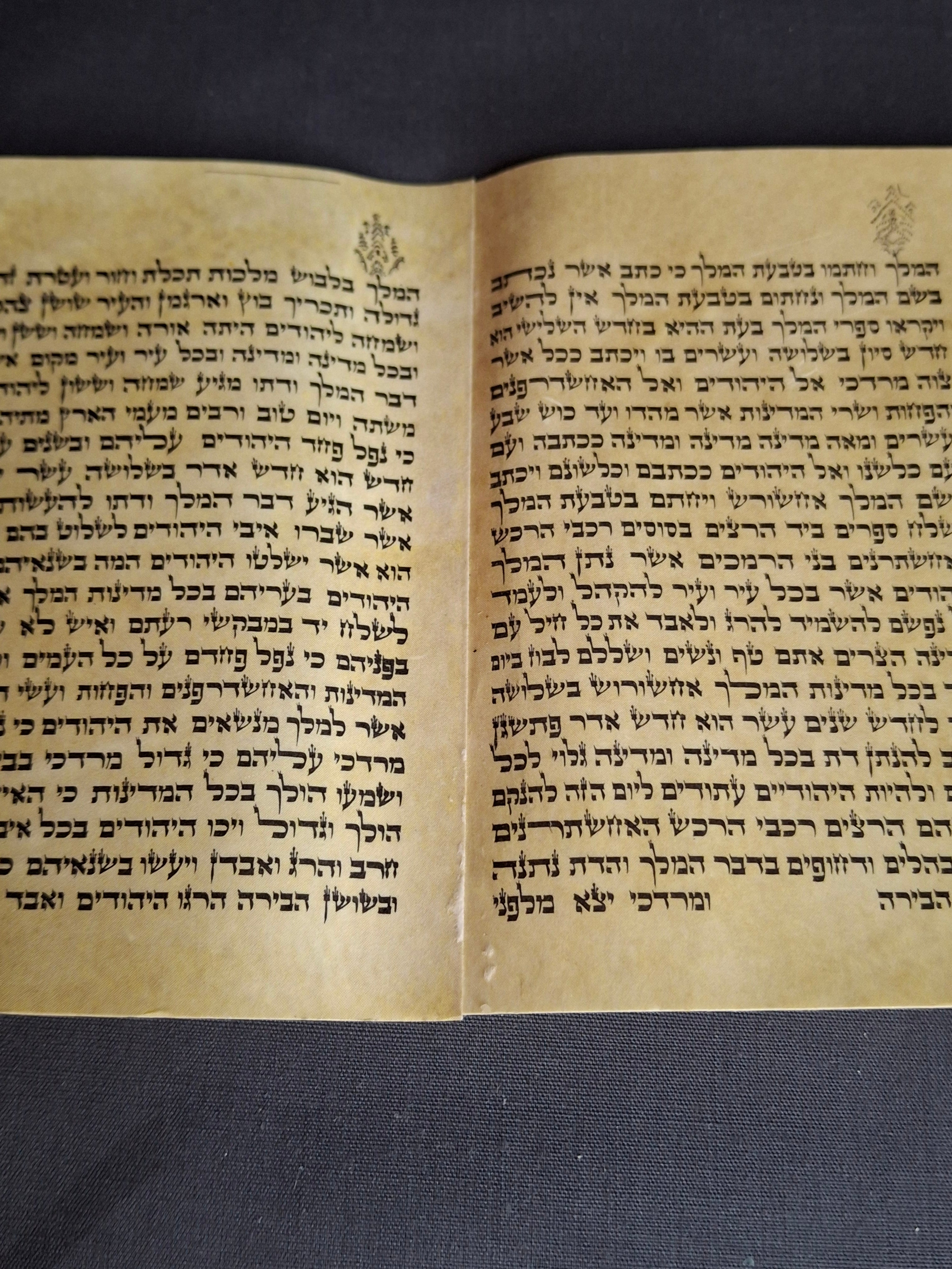 Vintage Israeli Printed Megillah Scroll of Esther – Mid-Century Judaica Purim Gift