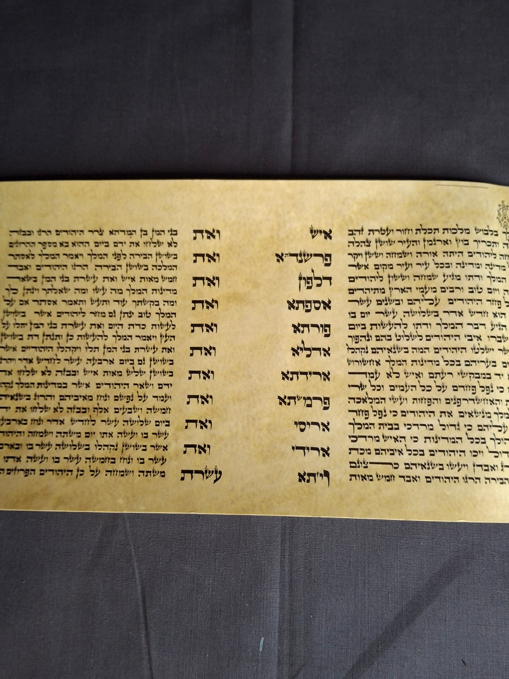Vintage Israeli Printed Megillah Scroll of Esther – Mid-Century Judaica Purim Gift