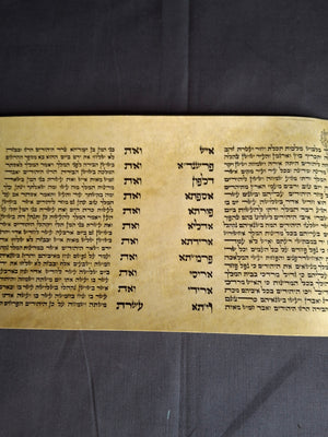Vintage Israeli Printed Megillah Scroll of Esther – Mid-Century Judaica Purim Gift