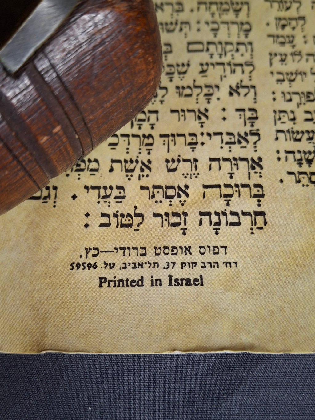 Vintage Israeli Printed Megillah Scroll of Esther – Mid-Century Judaica Purim Gift