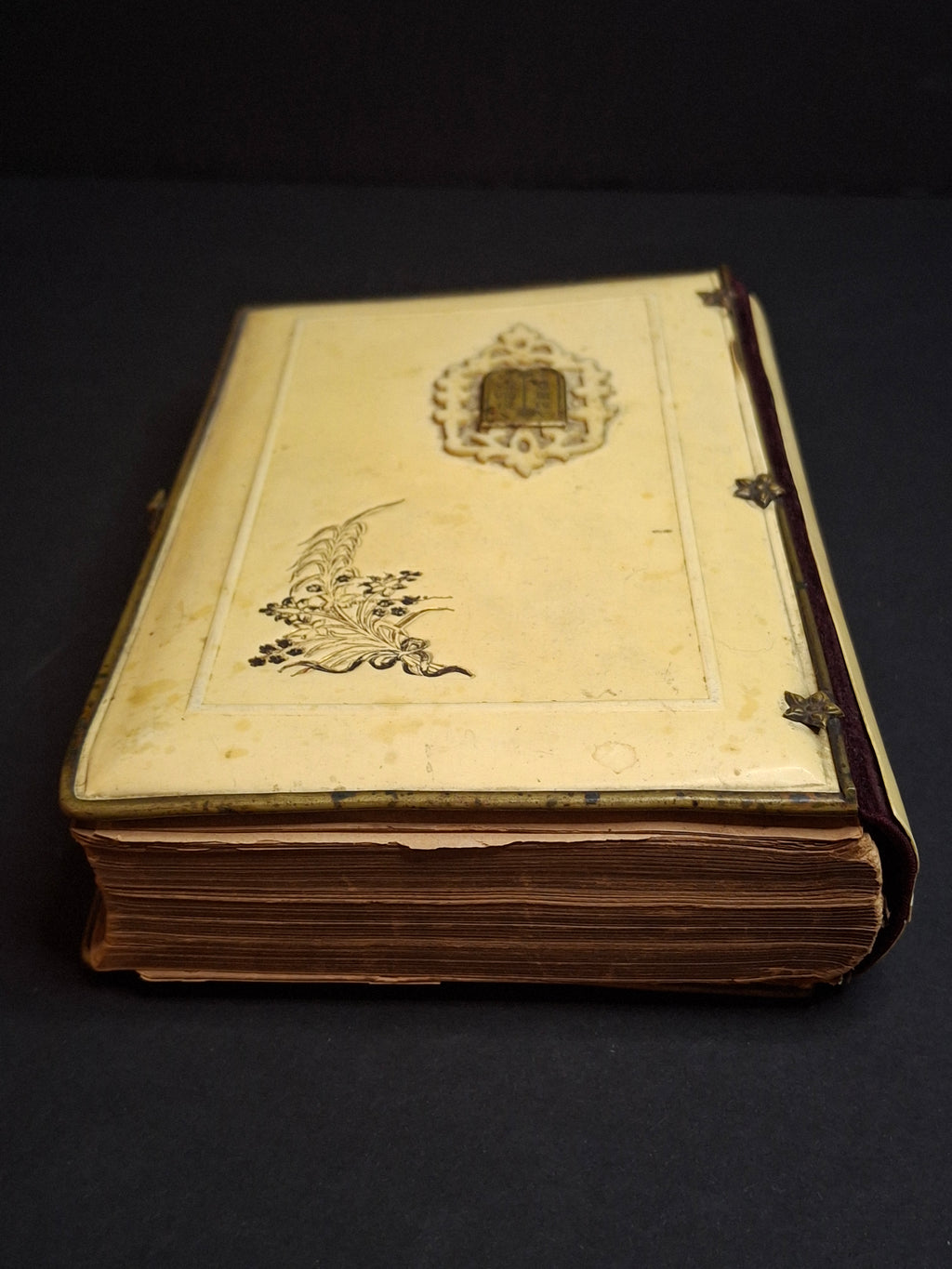 1893 Antique Jewish Prayer Book Siddur Celluloid Bone Brass and Velvet Cover Clasp Kauffmann Judaica