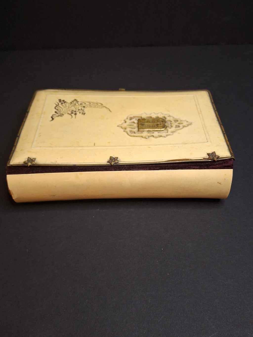 1893 Antique Jewish Prayer Book Siddur Celluloid Bone Brass and Velvet Cover Clasp Kauffmann Judaica