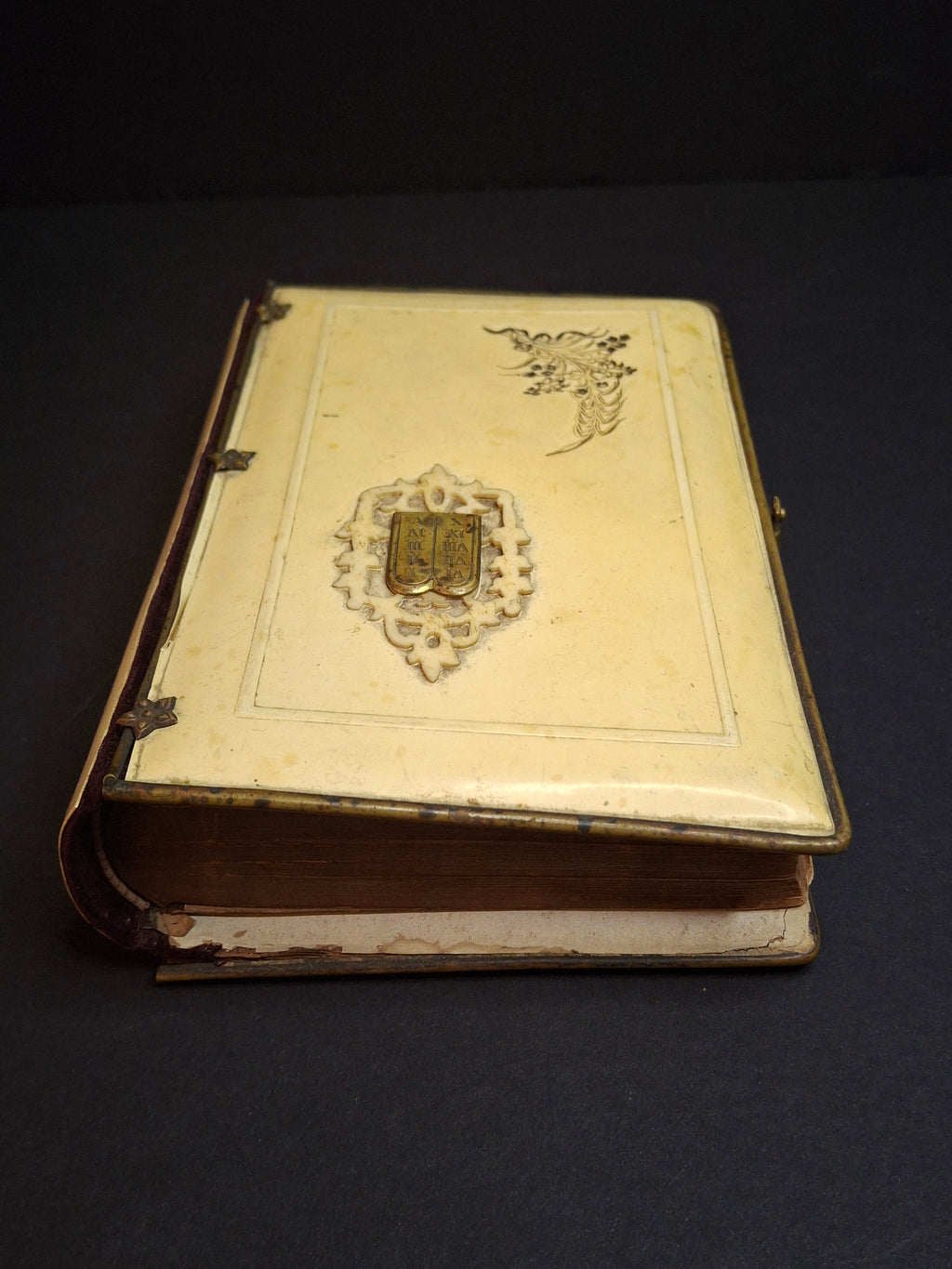 1893 Antique Jewish Prayer Book Siddur Celluloid Bone Brass and Velvet Cover Clasp Kauffmann Judaica