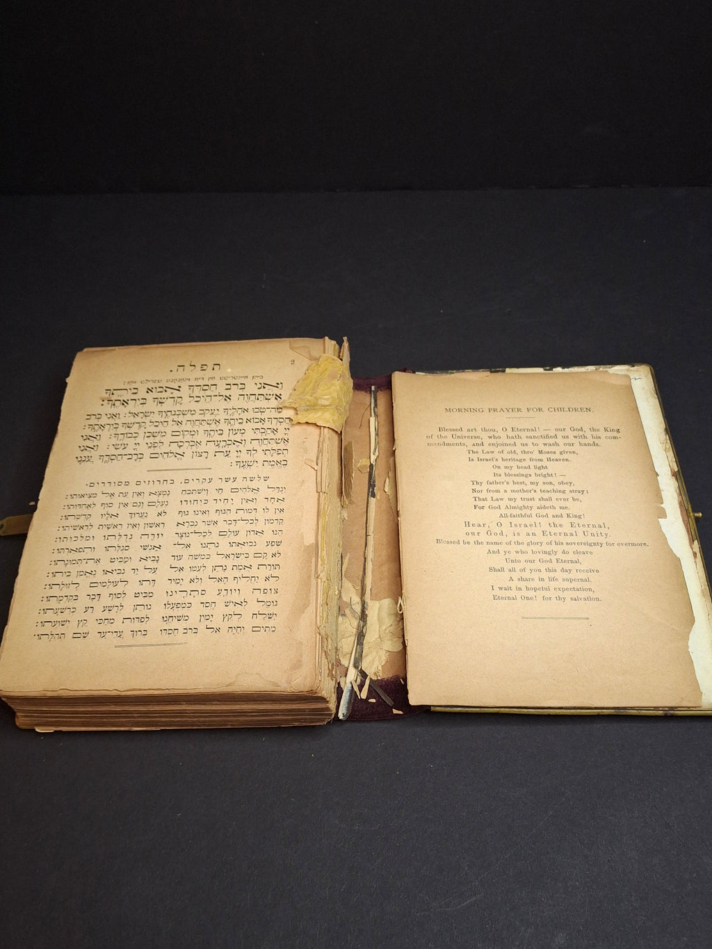 1893 Antique Jewish Prayer Book Siddur Celluloid Bone Brass and Velvet Cover Clasp Kauffmann Judaica