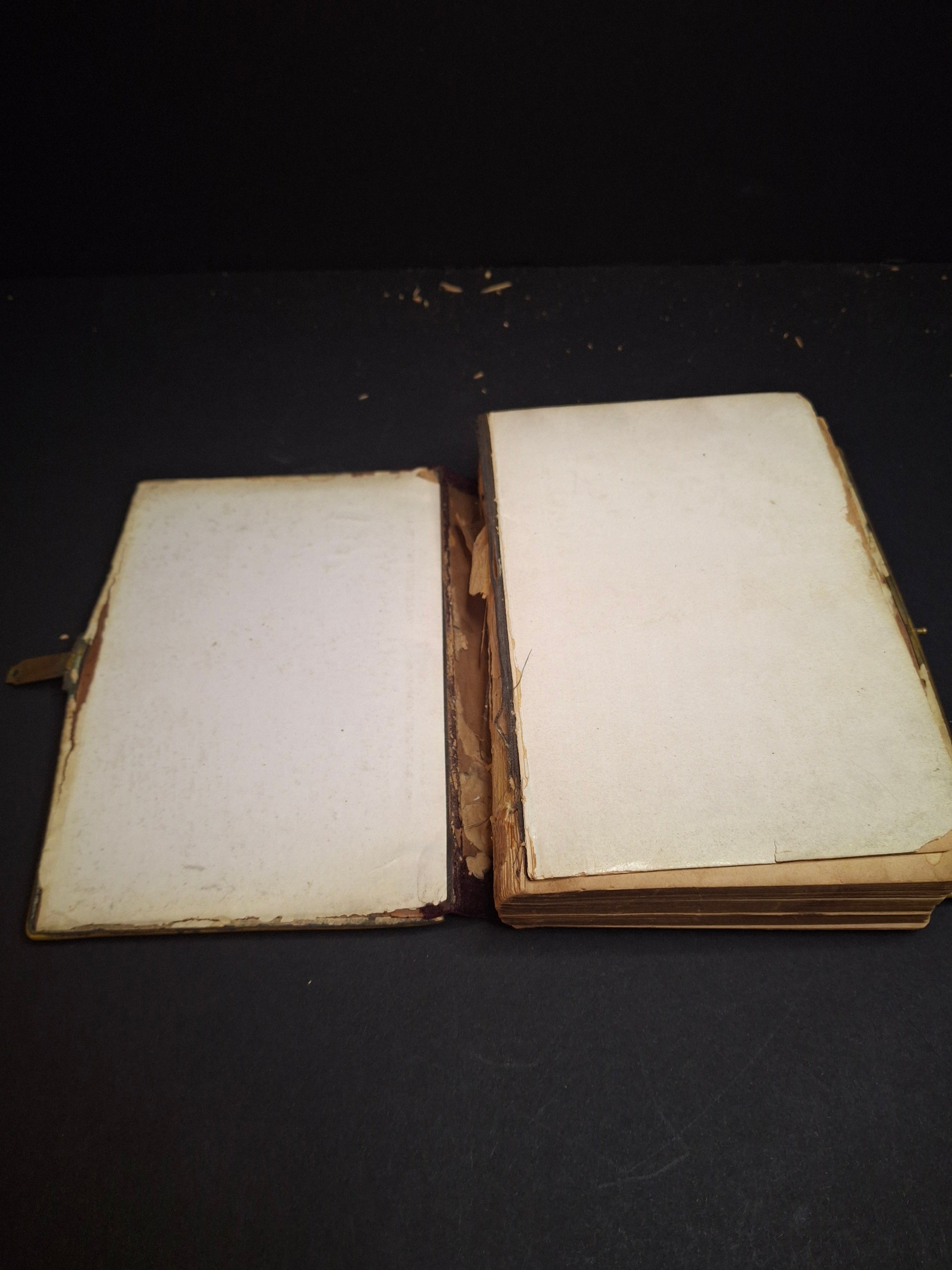 1893 Antique Jewish Prayer Book Siddur Celluloid Bone Brass and Velvet Cover Clasp Kauffmann Judaica