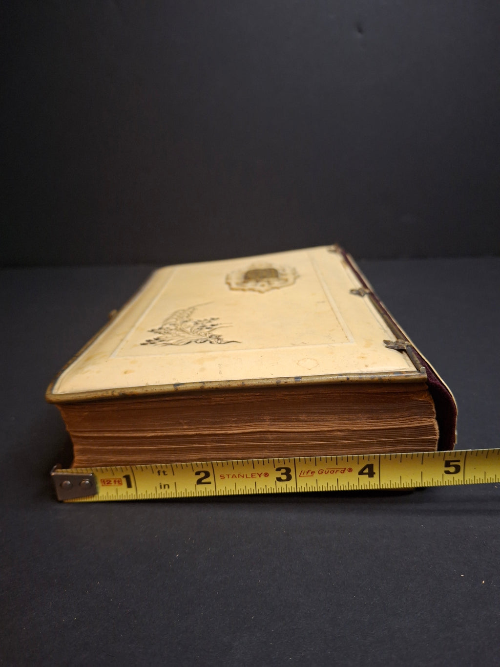 1893 Antique Jewish Prayer Book Siddur Celluloid Bone Brass and Velvet Cover Clasp Kauffmann Judaica