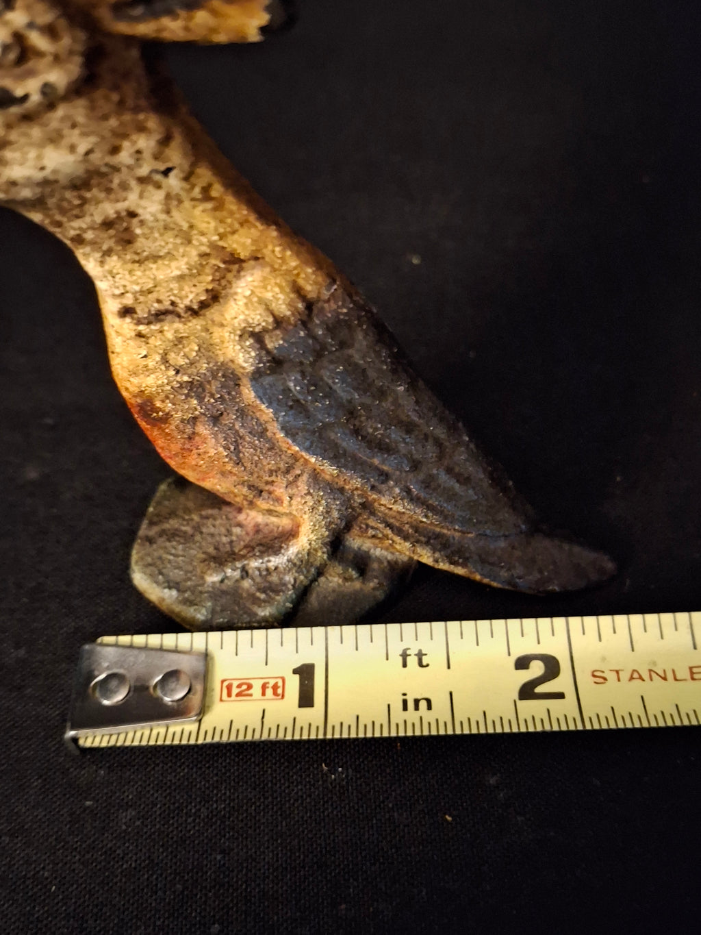Vintage Cast Iron Parrot Bottle Opener Original Paint John Wright Wilton 1940s