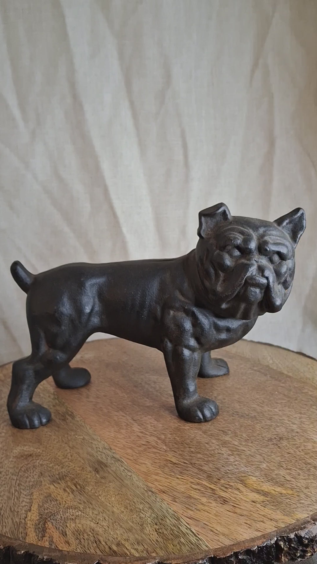 Antique Hubley Cast Iron Standing Bulldog Penny Bank No. 826 c. 1910 - 5.5" Tall