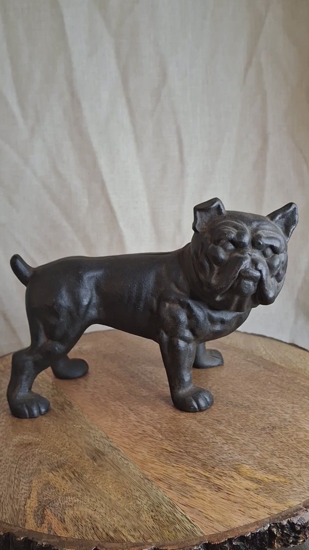 Antique Hubley Cast Iron Standing Bulldog Penny Bank No. 826 c. 1910 - 5.5" Tall